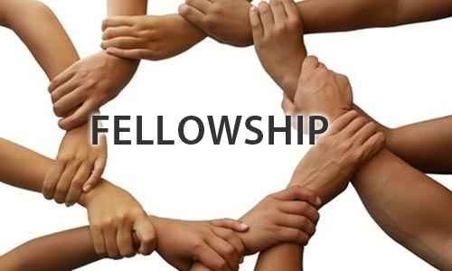 Thiel Fellowship 2022: Apply Online, Eligibility, Amount & All Details