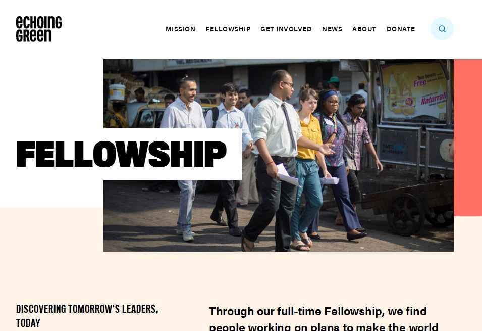 Process To Apply Online Under Echoing Green Fellowship 