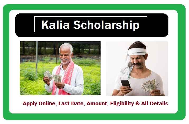 Kalia Scholarship: Apply Online, Amount, Status & Last Date