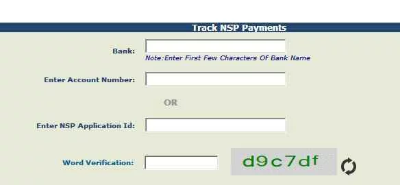 Tracking NSP Payment Status
